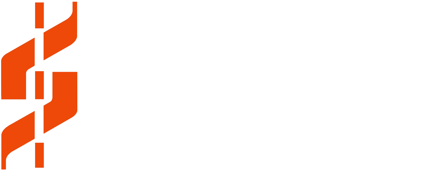 NetImpact Strategies Logo
